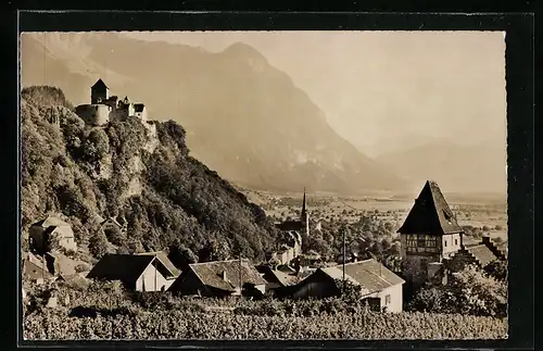 AK Vaduz, Ortsansicht mit Schloss