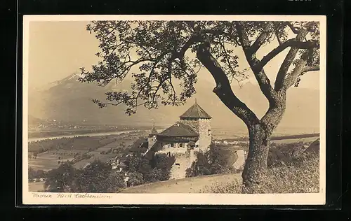 AK Vaduz, Baum vor dem Schloss