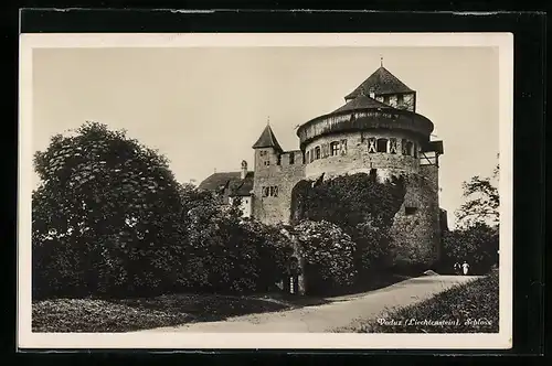 AK Vaduz, Schloss mit Weg und Bäumen
