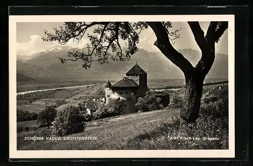 AK Vaduz, Schloss mit Baum und Wiese