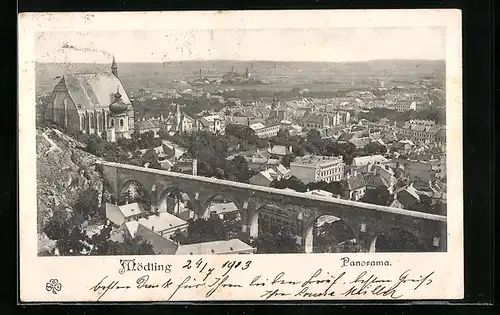 AK Mödling, Panorama mit Brücke