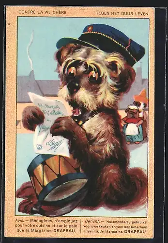 AK Kleiner Hund mit Trommel liest Zeitung