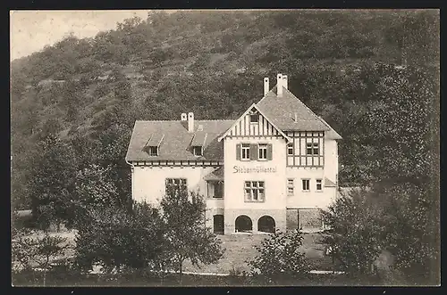 AK Heidelberg, Restaurant-Pension zum Siebenmühlental E. Rall aus der Vogelschau