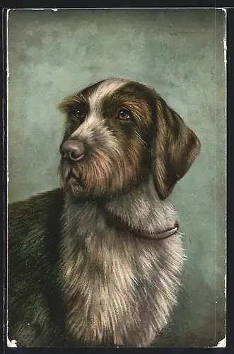 Künstler-AK Jagdhund in entspannter Haltung
