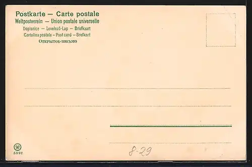 Lithographie Glückliches Neujahr, kleiner Schmied und Schweine