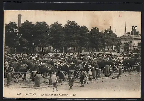 AK Amiens, Le Marché aux Bestiaux