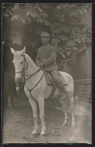 Foto-AK Österreichischer Soldat auf einem Pferd