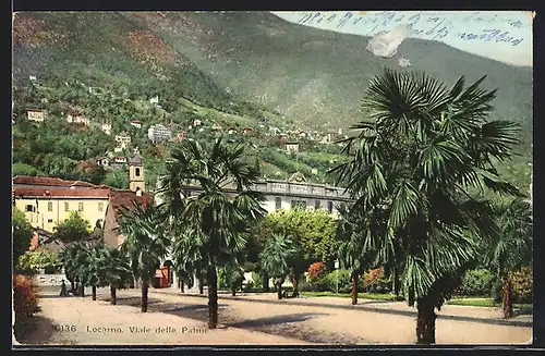 AK Locarno, Viale delle Palme