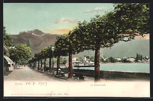 AK Vevey, la promenade