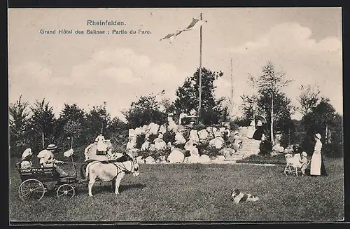 AK Rheinfelden, Grand Hotel des Salines: Partie du Parc