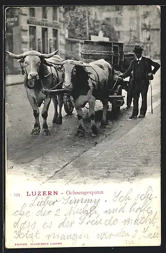 AK Luzern, Ochsengespann mit Besitzer auf einer Strasse