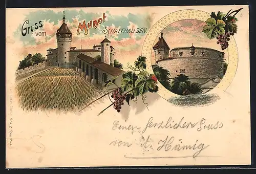 Lithographie Schaffhausen, Burg Munot