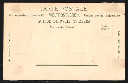 Passepartout-Lithographie Basel, Strassburger Denkmal, Helvetia, Wappen der Schweiz