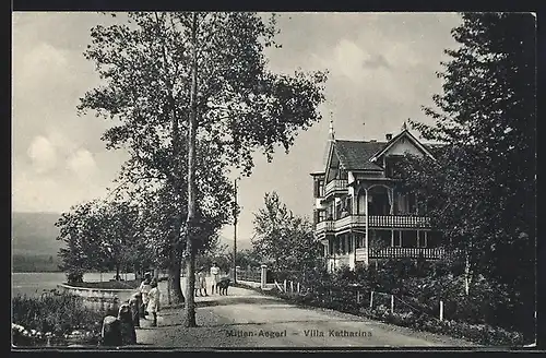 AK Mitten-Aegeri, Villa Katharina mit Strasse und Ufer