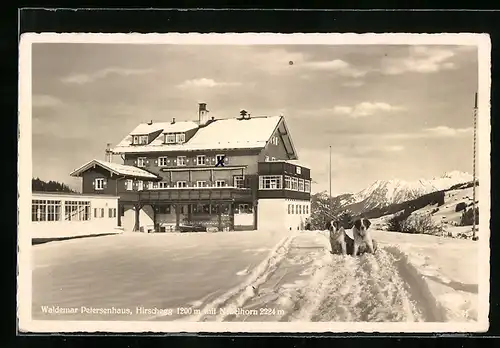 AK Hirschegg, Waldemar Petersenhaus mit Nebelhorn im Winter, Bernhardiner