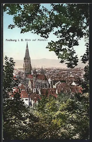 AK Freiburg i. Br., Blick auf Münster