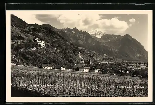 AK Vaduz, Teilansicht mit Schloss und Rebstöcken