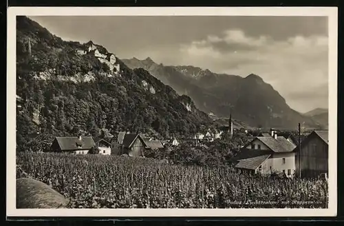 AK Vaduz / Liechtenstein, Ortsansicht mit Rappenstein