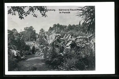 AK Salzburg, Parsch, Gärtnerei Rauschhofer, Gärtner