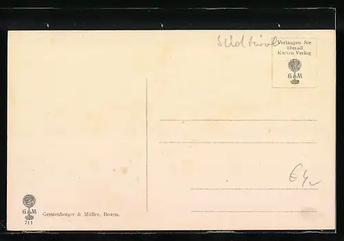 AK Steinach a. d. Brennerstrasse, Ortsansicht mit Bergen