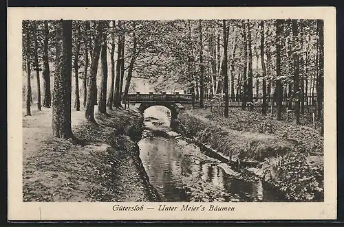 AK Gütersloh, Unter Meier`s Bäumen