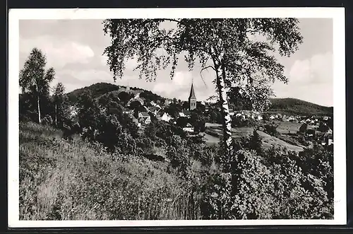 AK Oerlinghausen /Teutoburger Wald, Ortsansicht mit Birke und Kirche