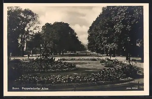 AK Bonn, Poppelsdorfer Allee mit Park