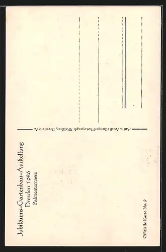 AK Dresden, Jubiläums-Gartenbau-Ausstellung 1926, Blick auf die Palmenterrasse