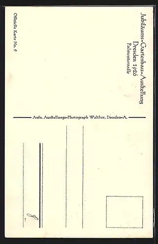 AK Dresden, Jubiläums-Gartenbau-Ausstellung 1926, Palmenterrasse