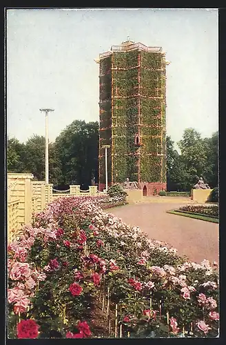 AK Dresden, Gartenbau-Ausstellung 1926, Rosengarten