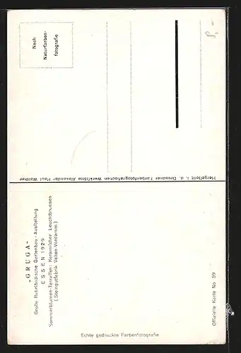 AK Essen, Grosse Ruhrländische Gartenbau-Ausstellung 1929, Sommerblumen-Terrassen