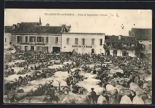 AK Villeneuve-de-Marsan, Foire de Septembre, Foirail