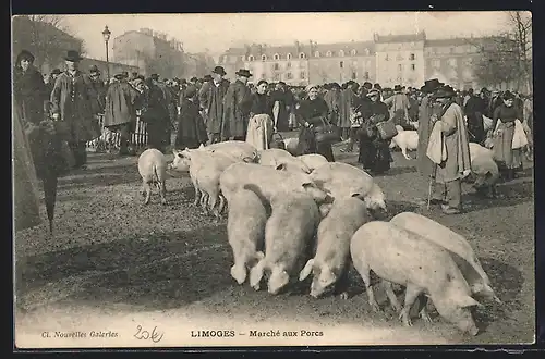 AK Limoges, Marché aux Porcs
