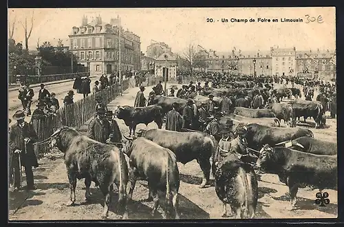 AK Limoges, Un Champ de Foire en Limousin