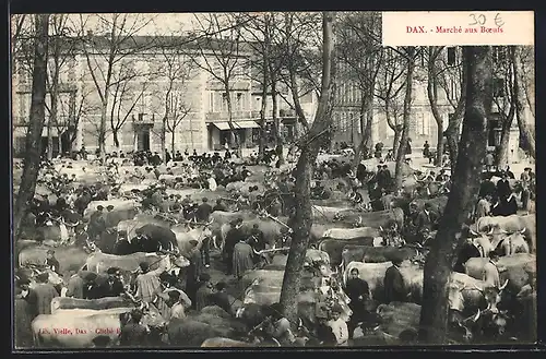 AK Dax, Marché aux Boeufs