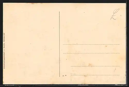 AK Altmünsterol /Els., Totalansicht, Rathaus, Post