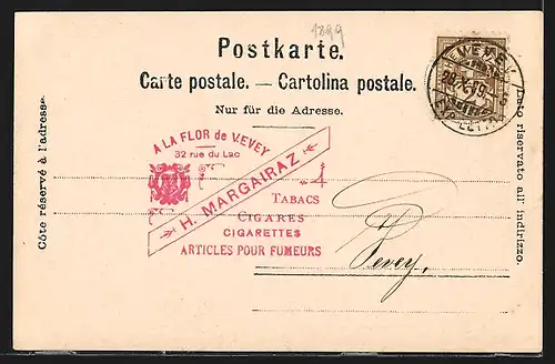 AK Vevey, Vue générale