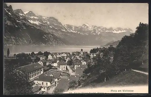 AK Murg am Wallensee, Teilansicht mit Bergen