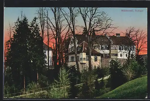 AK Wädenswil, Schloss bei Sonnenuntergang