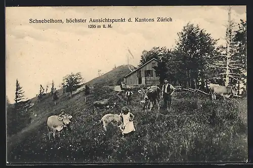 AK Schnebelhorn, Bauer und grasende Kühe bei einem Gehöft