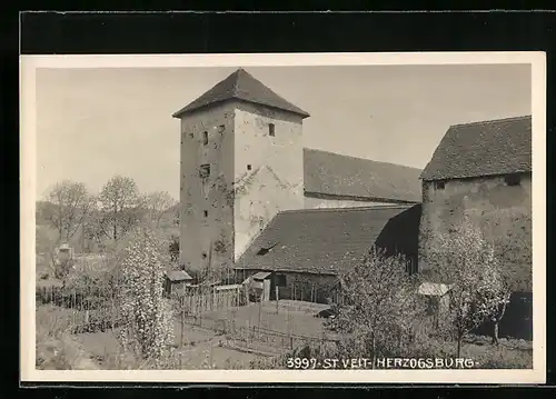 AK St. Veit an der Glan, Herzogsburg mit Garten