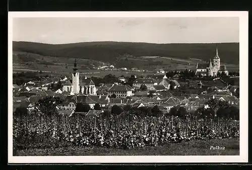 AK Pulkau, Ortsansicht mit Kirche