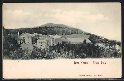 AK Drei Ähren, Panorama