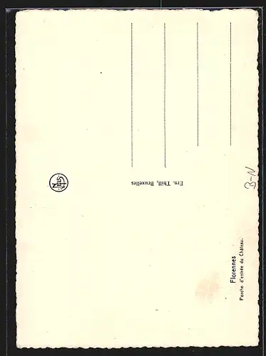 AK Florennes, Porche d`entrée du Chateau