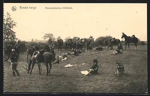 AK Reconnaissance d`officiers, Armée belge