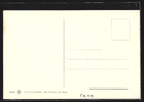 AK Como, Primo Bacino del Lago di Como