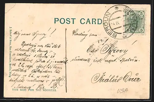 AK San Francisco, CA, Teilansicht aus der Vogelschau