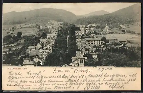 AK Wildungen, Die Brunnen-Allee aus der Vogelschau