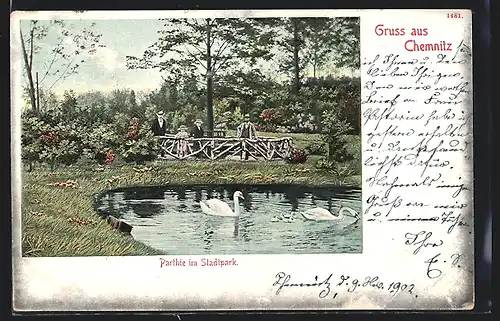 AK Chemnitz, Partie im Stadtpark, Teich mit Schwänen