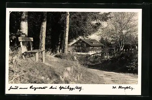 AK Scheidegg /Allgäu, Pension Haus am Bergwald